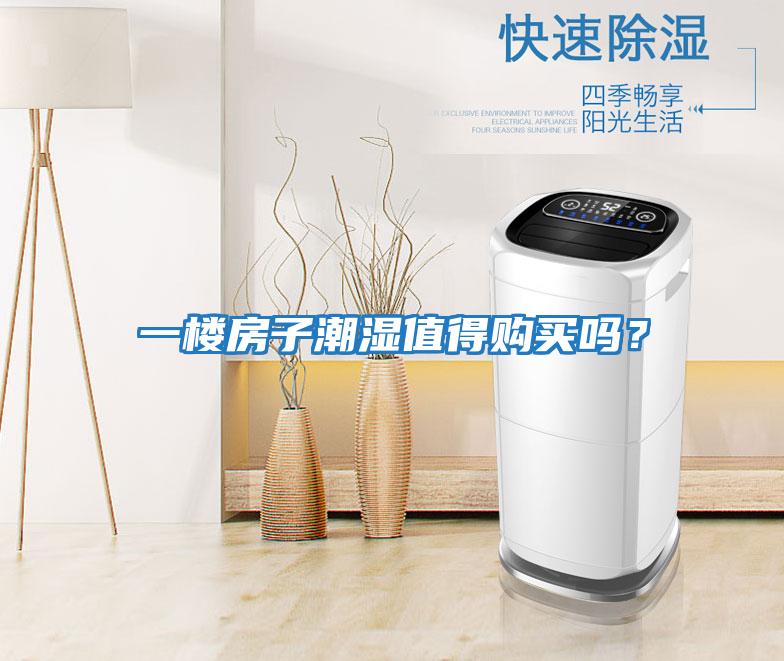 一樓房子潮濕值得購買嗎?