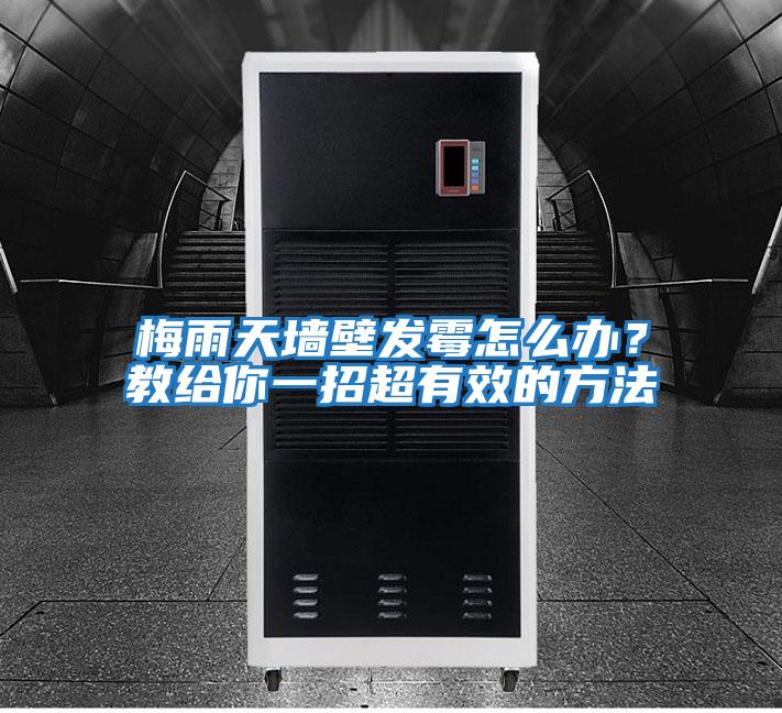 梅雨天墻壁發霉怎么辦？教給你一招超有效的方法