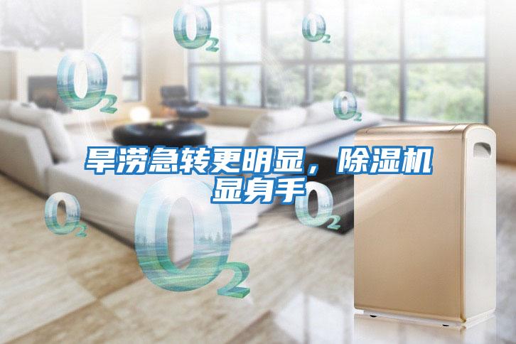 旱澇急轉更明顯，除濕機顯身手