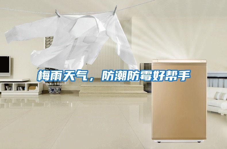 梅雨天氣,防潮防霉好幫手