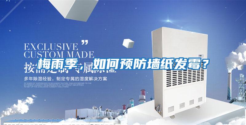 梅雨季，如何預防墻紙發霉？