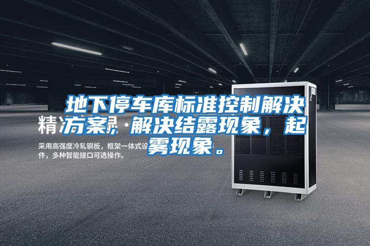 地下停車庫(kù)標(biāo)準(zhǔn)控制解決方案,解決結(jié)露現(xiàn)象,起霧現(xiàn)象。