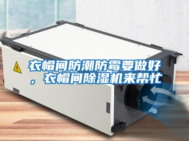 衣帽間防潮防霉要做好，衣帽間除濕機來幫忙