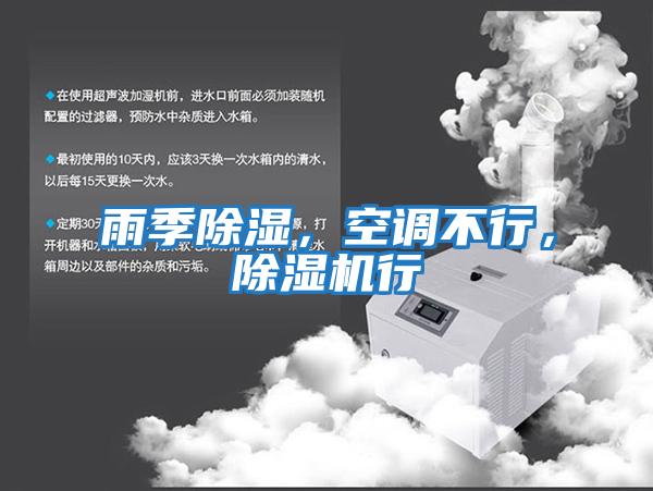 雨季除濕，空調(diào)不行，除濕機(jī)行