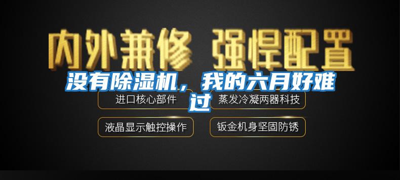 沒有除濕機,我的六月好難過