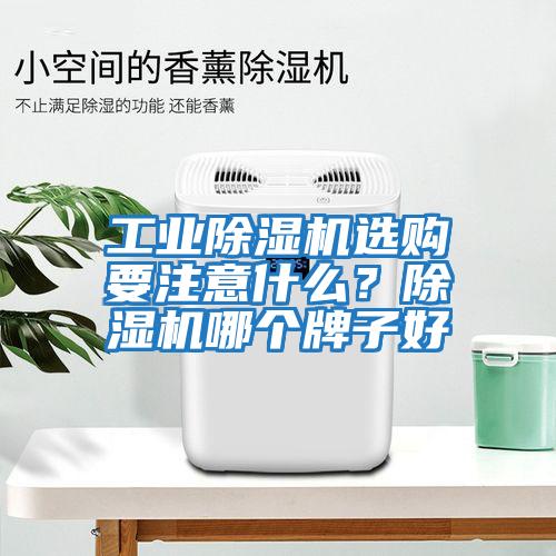 工業(yè)除濕機(jī)選購要注意什么?除濕機(jī)哪個(gè)牌子好