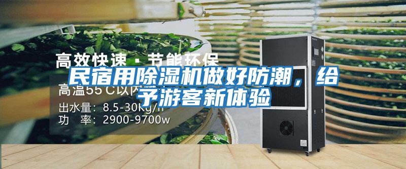 民宿用除濕機(jī)做好防潮,給予游客新體驗(yàn)