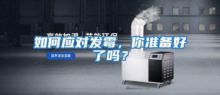 如何應對發霉，你準備好了嗎？