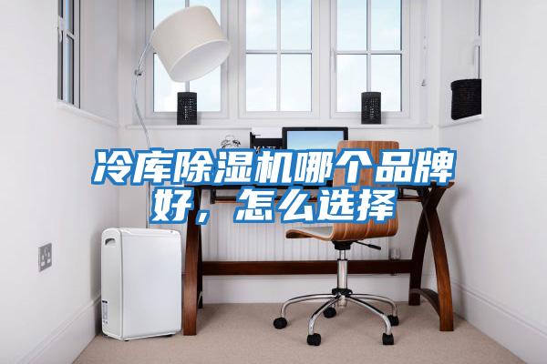 冷庫除濕機哪個品牌好,怎么選擇