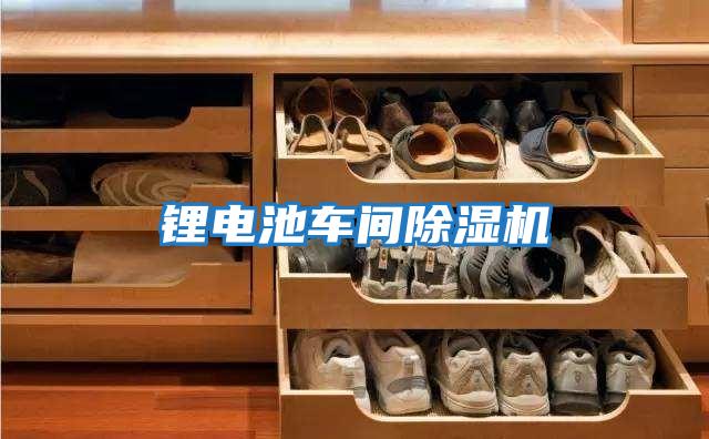 鋰電池車間除濕機(jī)
