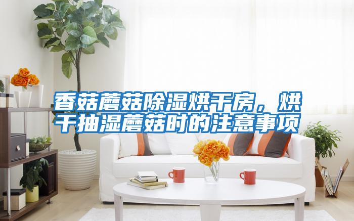 香菇蘑菇除濕烘干房,烘干抽濕蘑菇時(shí)的注意事項(xiàng)