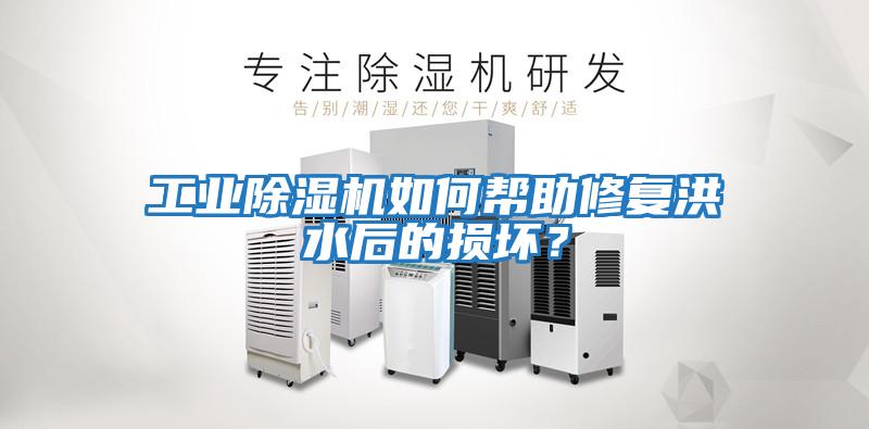工業除濕機如何幫助修復洪水后的損壞?