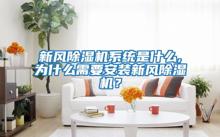 新風除濕機系統是什么,為什么需要安裝新風除濕機？