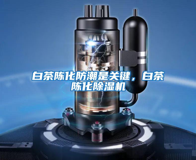 白茶陳化防潮是關(guān)鍵,白茶陳化除濕機(jī)
