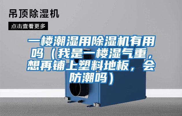 一樓潮濕用除濕機有用嗎（我是一樓濕氣重，想再鋪上塑料地板，會防潮嗎）