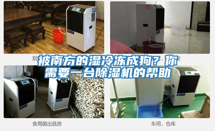 被南方的濕冷凍成狗?你需要一臺(tái)除濕機(jī)的幫助