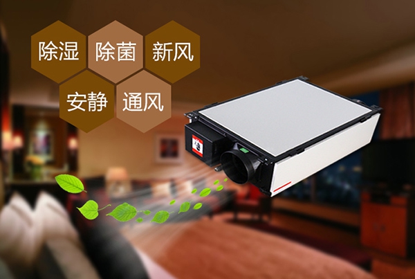 出梅？再等等，在家該如何防潮除濕？