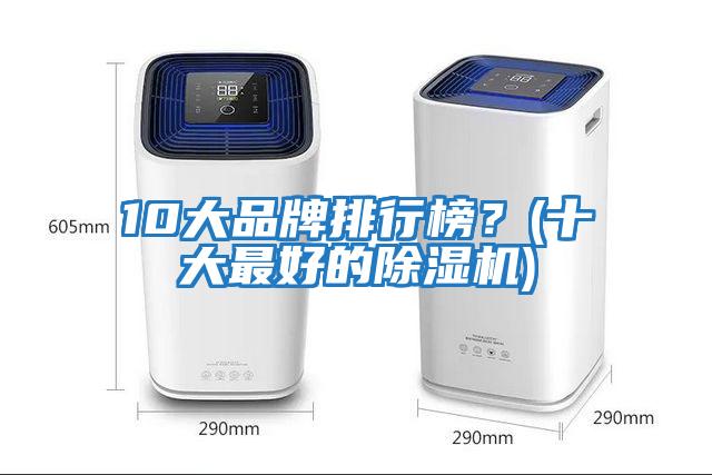 10大品牌排行榜？(十大最好的除濕機)