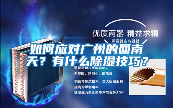 如何應(yīng)對(duì)廣州的回南天？有什么除濕技巧？