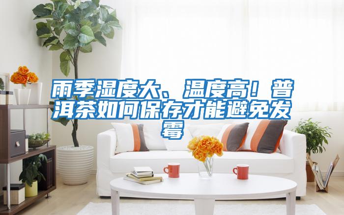 雨季濕度大、溫度高！普洱茶如何保存才能避免發霉