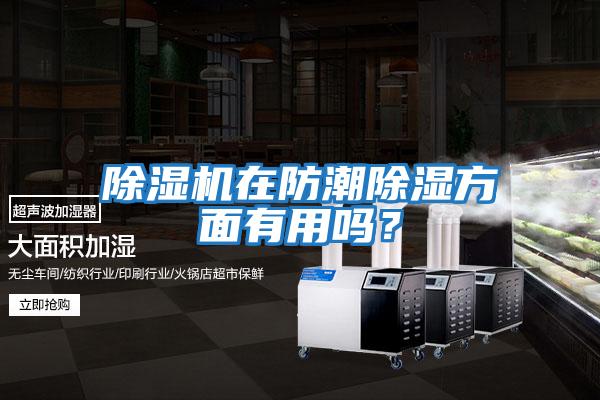 除濕機在防潮除濕方面有用嗎？