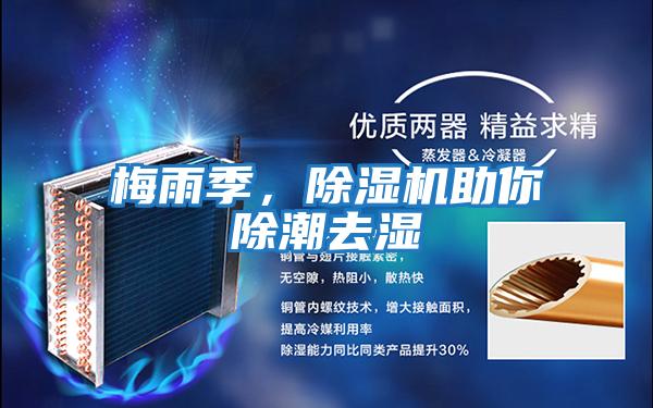 梅雨季,除濕機助你除潮去濕