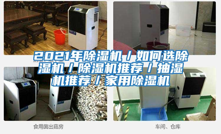 2021年除濕機(jī)／如何選除濕機(jī)／除濕機(jī)推薦／抽濕機(jī)推薦／家用除濕機(jī)