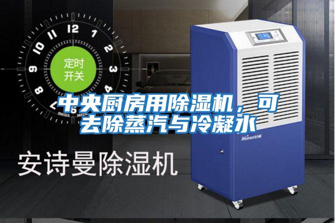 中央廚房用除濕機，可去除蒸汽與冷凝水