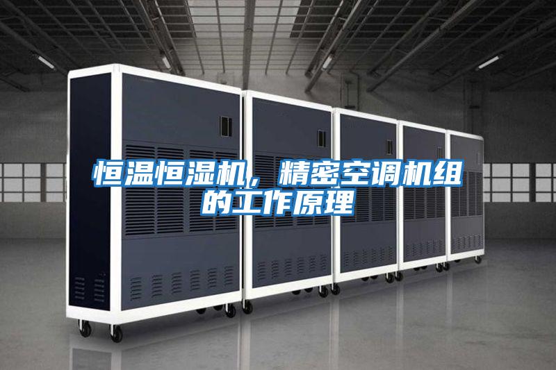 恒溫恒濕機，精密空調機組的工作原理