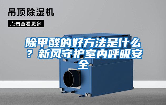 除甲醛的好方法是什么？新風守護室內呼吸安全