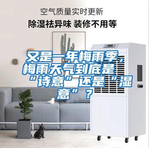 又是一年梅雨季,梅雨天氣到底是“詩意”還是“濕意”?