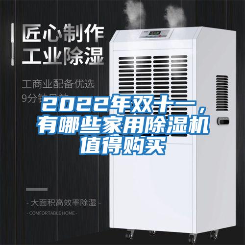 2022年雙十一,有哪些家用除濕機(jī)值得購買