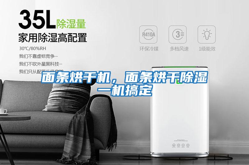 面條烘干機,面條烘干除濕一機搞定