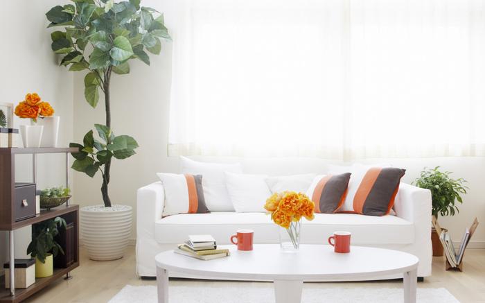 高溫說(shuō)來(lái)就來(lái)，這個(gè)膏方再不準(zhǔn)備就晚了，健胃驅(qū)寒，暖宮除濕