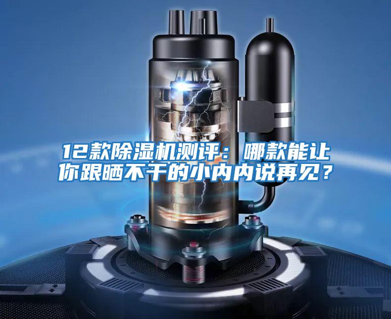 12款除濕機測評：哪款能讓你跟曬不干的小內內說再見？