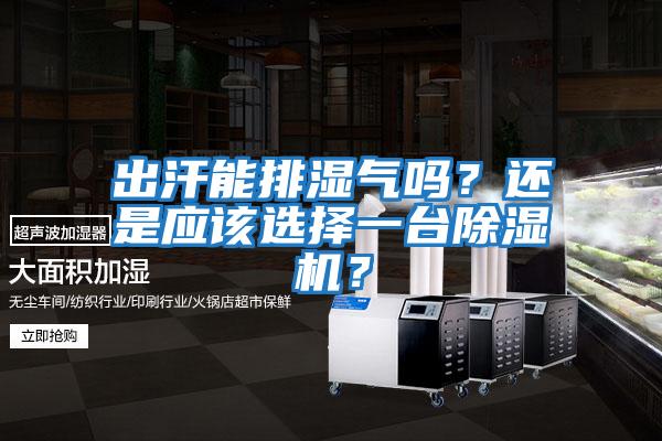 出汗能排濕氣嗎?還是應(yīng)該選擇一臺(tái)除濕機(jī)?