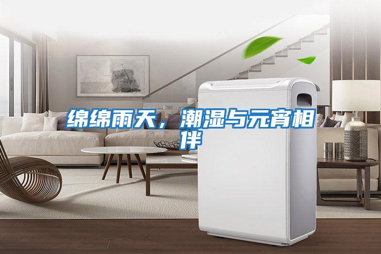 綿綿雨天,潮濕與元宵相伴