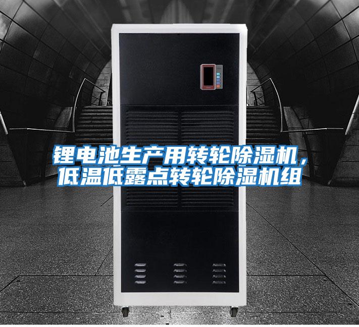 鋰電池生產(chǎn)用轉(zhuǎn)輪除濕機,低溫低露點轉(zhuǎn)輪除濕機組