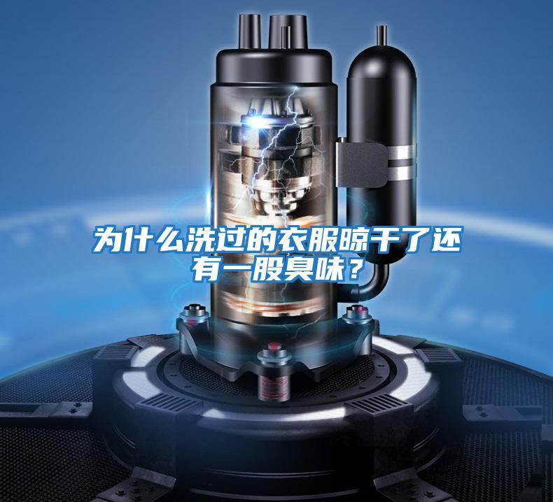 為什么洗過的衣服晾干了還有一股臭味？