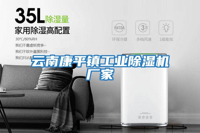 云南康平鎮工業除濕機廠家