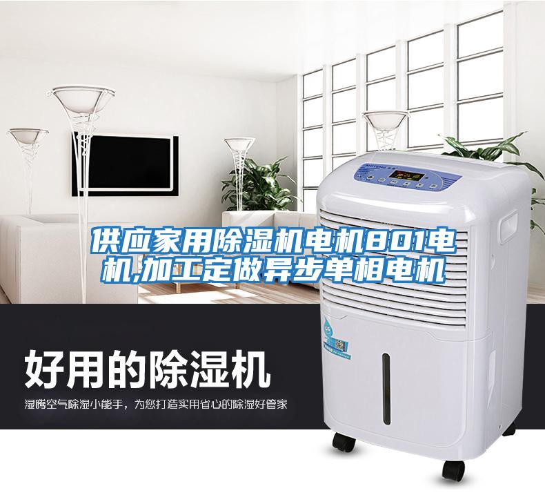 供應(yīng)家用除濕機電機801電機,加工定做異步單相電機