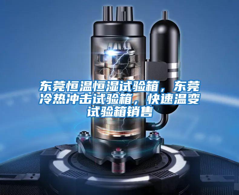 東莞恒溫恒濕試驗(yàn)箱,東莞冷熱沖擊試驗(yàn)箱,快速溫變?cè)囼?yàn)箱銷售