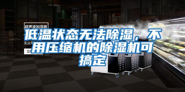 低溫狀態無法除濕，不用壓縮機的除濕機可搞定