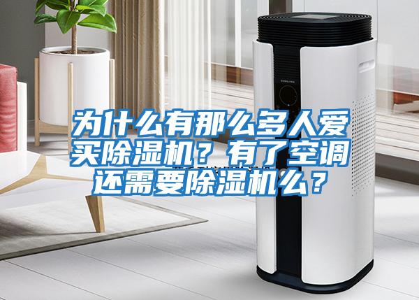 為什么有那么多人愛買除濕機？有了空調還需要除濕機么？
