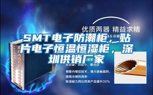 SMT電子防潮柜，貼片電子恒溫恒濕柜，深圳供銷廠家
