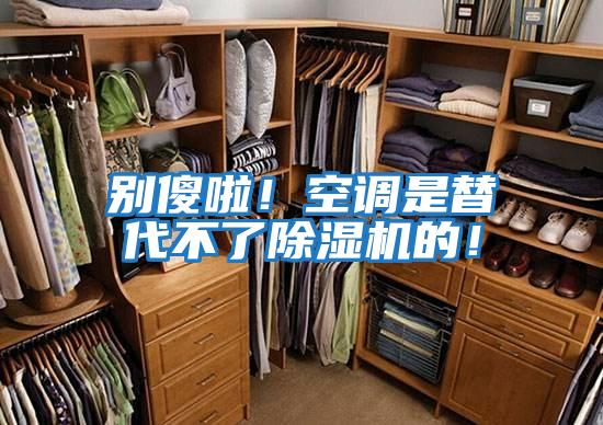 別傻啦!空調(diào)是替代不了除濕機的!