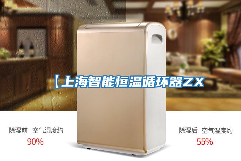 【上海智能恒溫循環器ZX