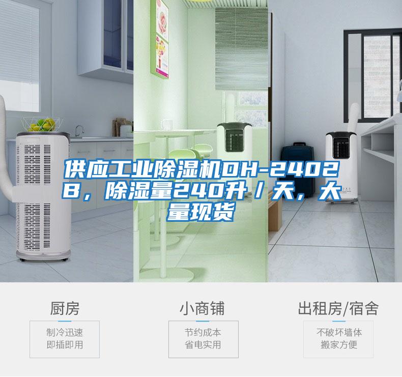 供應(yīng)工業(yè)除濕機(jī)DH-2402B,除濕量240升/天,大量現(xiàn)貨