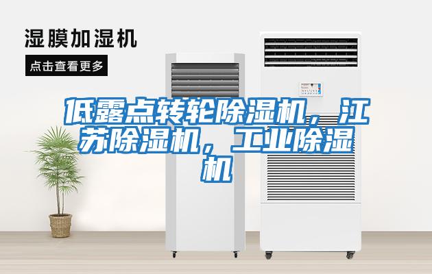 低露點轉輪除濕機,江蘇除濕機,工業除濕機