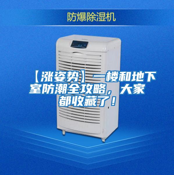 【漲姿勢】一樓和地下室防潮全攻略，大家都收藏了！